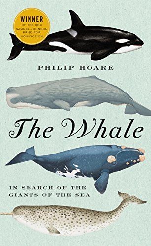 The Whale by Philip Hoare